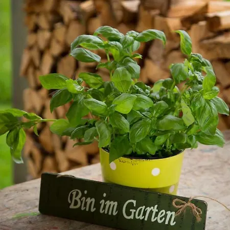 Gartenstudio Waldblick Schwarzenberg im Bregenzerwald Exterior photo