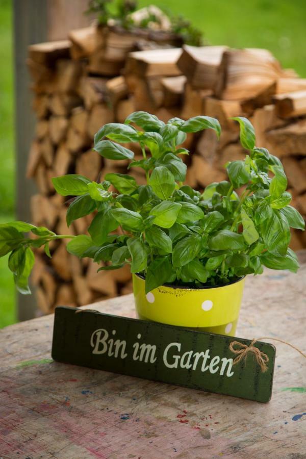 Gartenstudio Waldblick Apartment